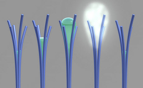 solvent cavitation under solvo-phobic confinement