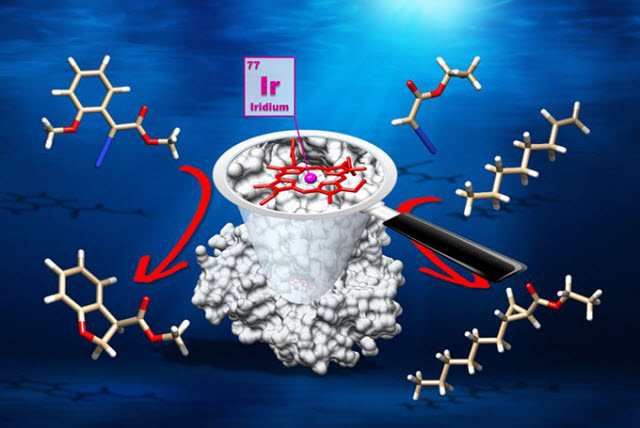 Graphic of artificial metalloenzyme