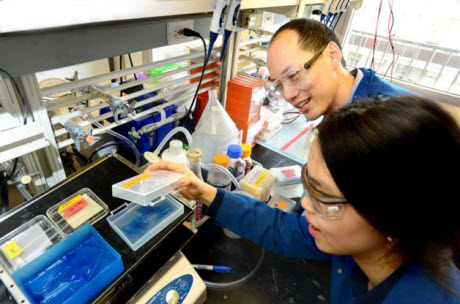 Chris Chang and UC Berkeley graduate student Sumin Lee 