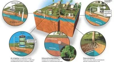 Five Ways Scientists Can Make Soil Less Dirty