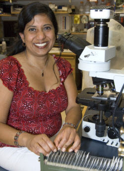 Indira Mysorekar, PhD