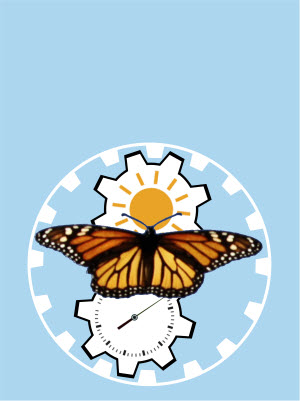 how the monarch brain integrates the time of day with the sun’s position in the sky