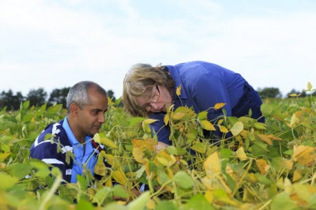 Doctoral student Arjun Kafle and professor Heike Bücking