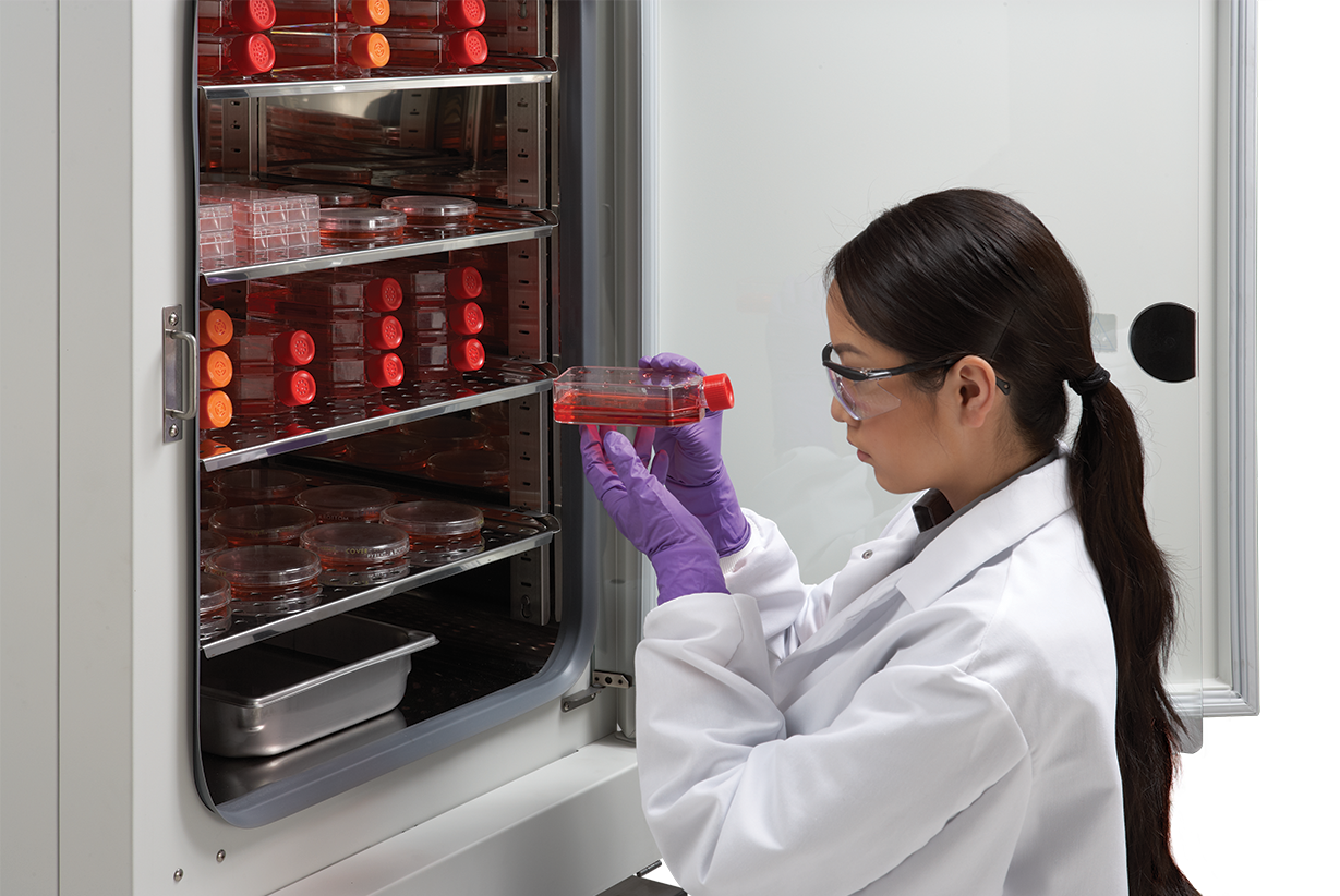 Female scientist inspects samples as she puts them into a NuAire CO2 incubator Female scientist inspects samples as she puts them into a NuAire CO2 incubator