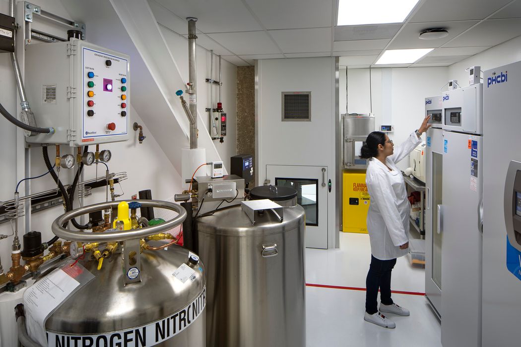 A female scientist presses a button on a ULT freezer in a room with nitrogen tanks A female scientist presses a button on a ULT freezer in a room with nitrogen tanks