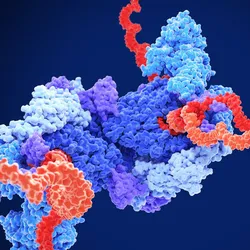 3D render of blue, gray, purple, and red enzyme