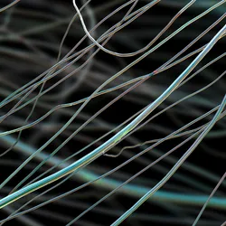 Close-up shot of individual green-blue plant fibers on a black background