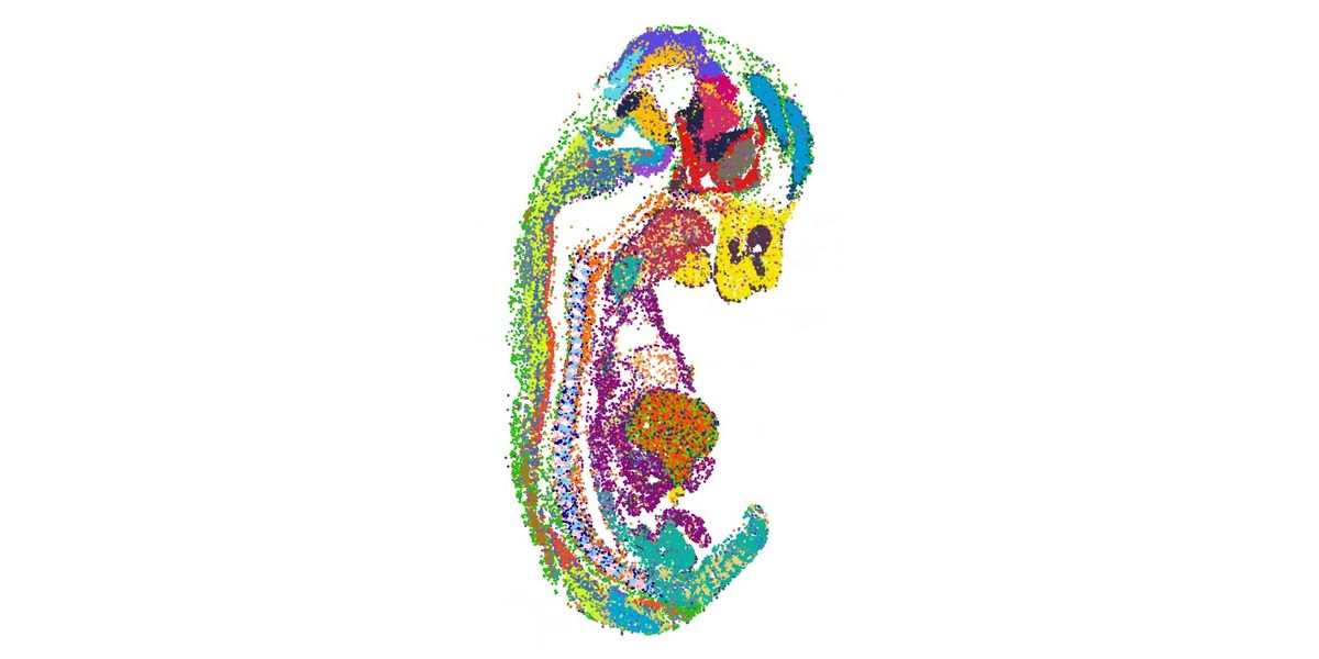 Takara Bio Usa Expert View: Single Cell Sequencing In Basic Research