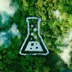 Looking down on a forest with a erlenmeyer flask formed in the trees