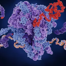 3D render of blue, purple, red, and tan proteins