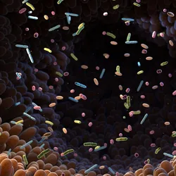 Multicolored bacteria float around the intestinal tract