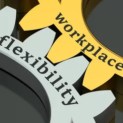 image of two gears meshed together with the words workplace flexibility on them