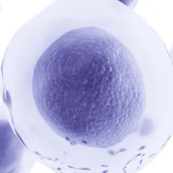3D render of lavender cells floating against a white background