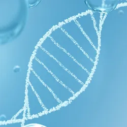  A digital illustration of a DNA double helix structure surrounded by water molecules on a blue background.