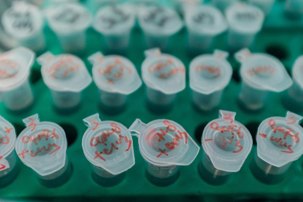 Close-up shot of a matrix of test tubes sitting in a blue case