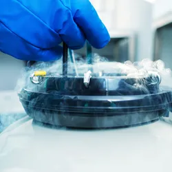 image of a gloved hand opening a nitrogen dewar illustrating the importance of cryogenic safety procedures