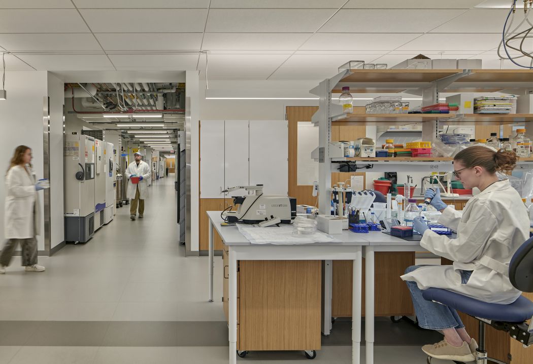 Female scientist sitting at a lab bench and pipetting inside the UMASS Chan Medical School, New Education Research Building, which has been recognized for its sustainable lab design Female scientist sitting at a lab bench and pipetting inside the UMASS Chan Medical School, New Education Research Building, which has been recognized for its sustainable lab design