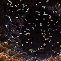3D render of various bacteria floating in the intestinal tract