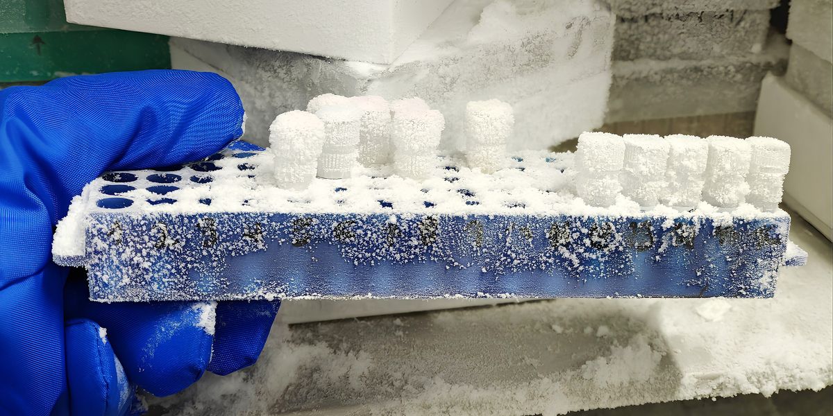 Unlocking the Chilling Secrets: A Comprehensive Guide to Understanding Your Freezer