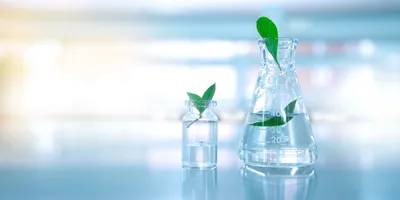 image of a flask and beaker on a laboratory bench each with a green leaf in it illustating the concept of managing laboratory energy efficiency