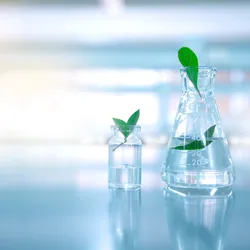image of a flask and beaker on a laboratory bench each with a green leaf in it illustating the concept of managing laboratory energy efficiency
