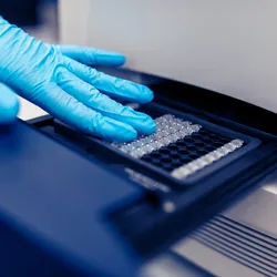 cloved hand insets a plate into a PCR system emphasing the value of qPCR and dPCR systems