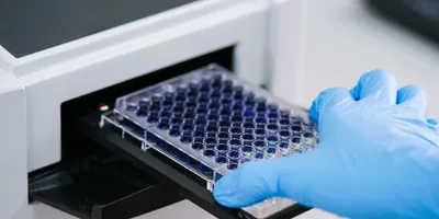 a gloved hand placing a mircropate into a microplate reader based on needs a lab may choose a single wavelength or multi-mode reader