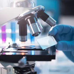 gloved hand holds a microscope slide in front of objectve lenses, labs often must choose between optical and digital microscopy solutions