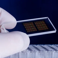 gloved hand holding a chip-like microarray issustrating the differences between microarrays and RNA sequencing