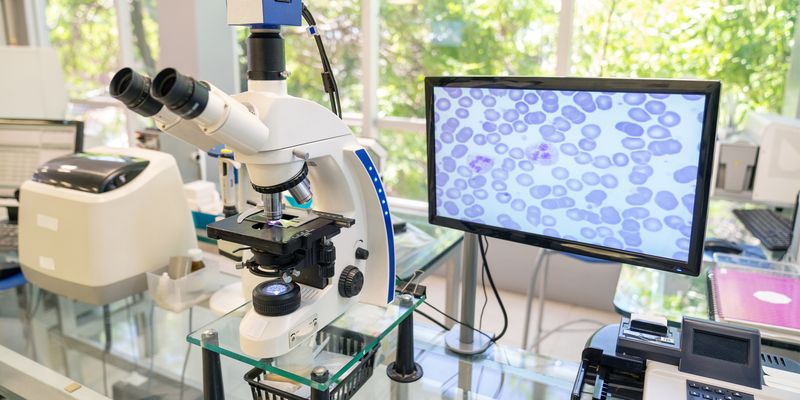Microscope Live Image Advances in Microscopy and Imaging: Enhancing Live Cell Capabilities ...