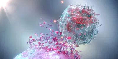 3D Rendering of a Natural Killer Cell and a cancer cell