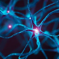Digital illustration of neural connections glowing in blue and red, representing brain activity and repair, relevant to stroke recovery drug research.