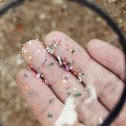 Colorful microplastics magnified on a person's fingertips, highlighting environmental health risks
