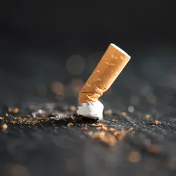 a cigarette butt crushed out on a brick surface. Cigarette butt bricks may be an environmental solution to this waste problem
