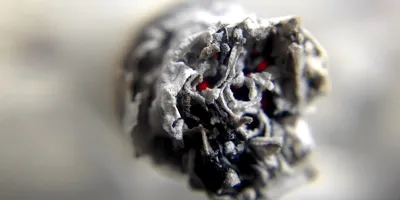 close up of cigarette ash on the end of a buring cigarette