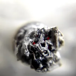 close up of cigarette ash on the end of a buring cigarette