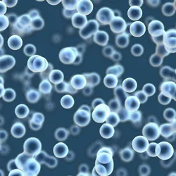 Microscopic cells suspended in fluid, illustrating biotech automation and touchless cell manipulation