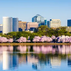 An image of Arlington, VA in the spring, where the Laboratory Products Association (LPA) will hold its Spring Meeting from May 5–7 at the Pentagon City Ritz-Carlton