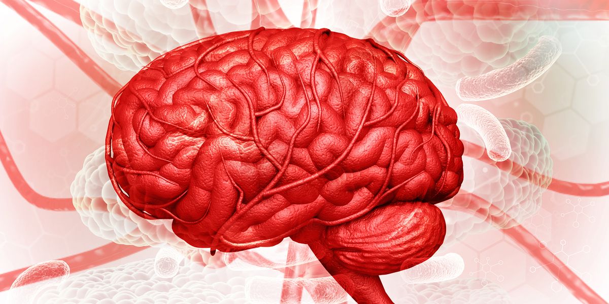 Barrière hémato-encéphalique et inflammation