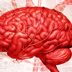 3D illustration of a human brain with surrounding blood vessels, highlighting drug delivery targeting inflammation across the blood-brain barrier.