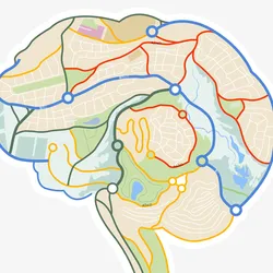 An outline of the human brain illustrated to look like a map