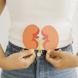 Woman holds two paper kidneys in front of her torso