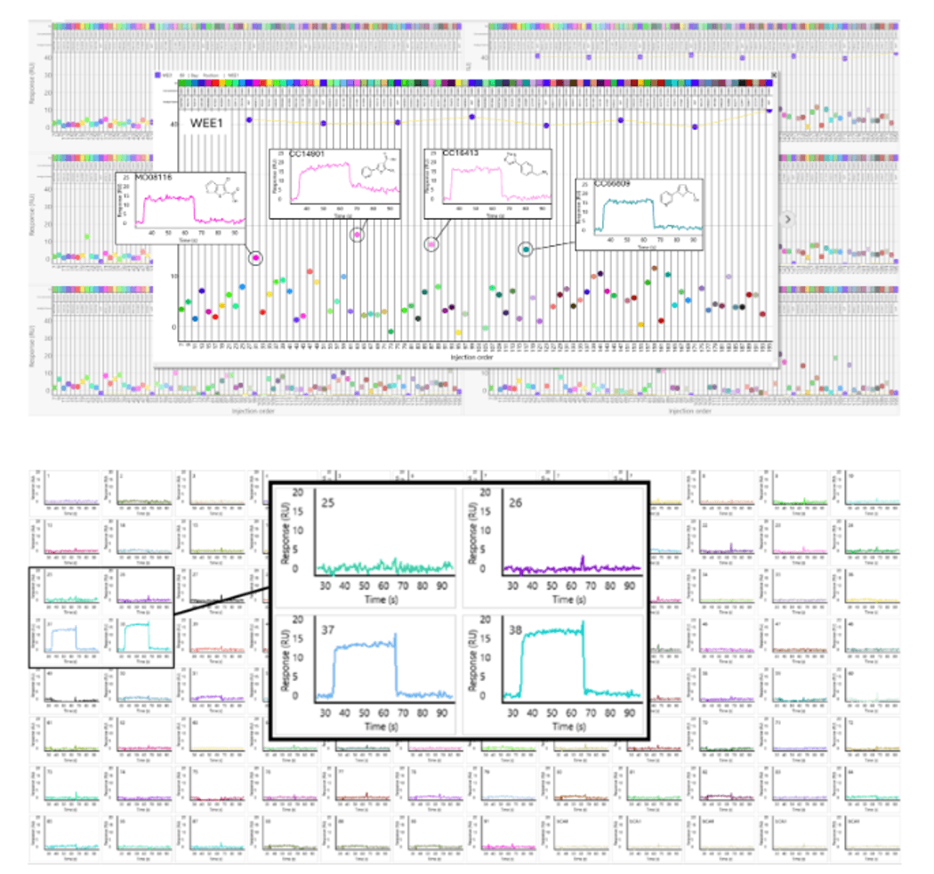 Fragment hit identification against 96 proteins using high-throughput SPR technology.