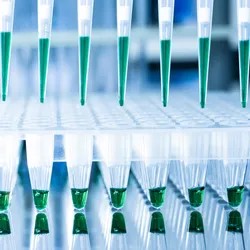 Tools for PCR amplification of DNA: 96-well plate and automatic pipette