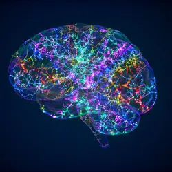 Digital illustration of a human brain with colorful neural connections, symbolizing brain activity, neuroscience, and Alzheimer's research.