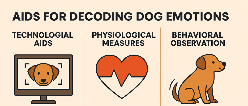 Infographic for decoding dog emotions.