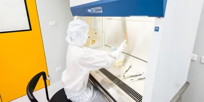 Person working in PPE under a fume hood.