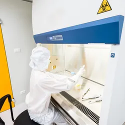 Person working in PPE under a fume hood.