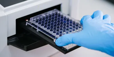 Scientist placing a 96 well plate into a microplate reader.