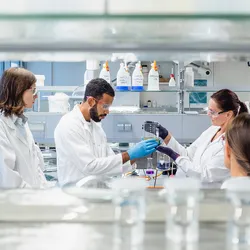 Team of laboratory staff engaged in knowledge-sharing and organizational learning activities in a modern laboratory setting, emphasizing collaboration and skill development.